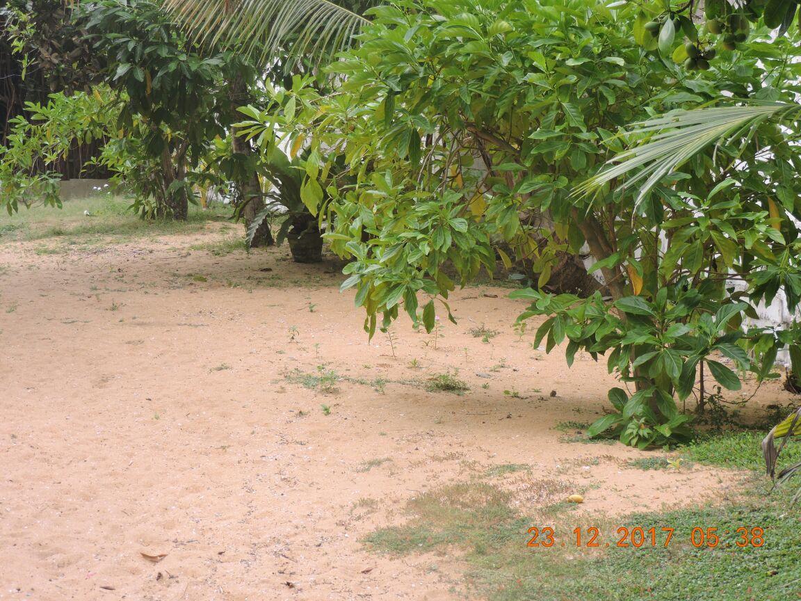 Akain Villa Dodanduwa المظهر الخارجي الصورة