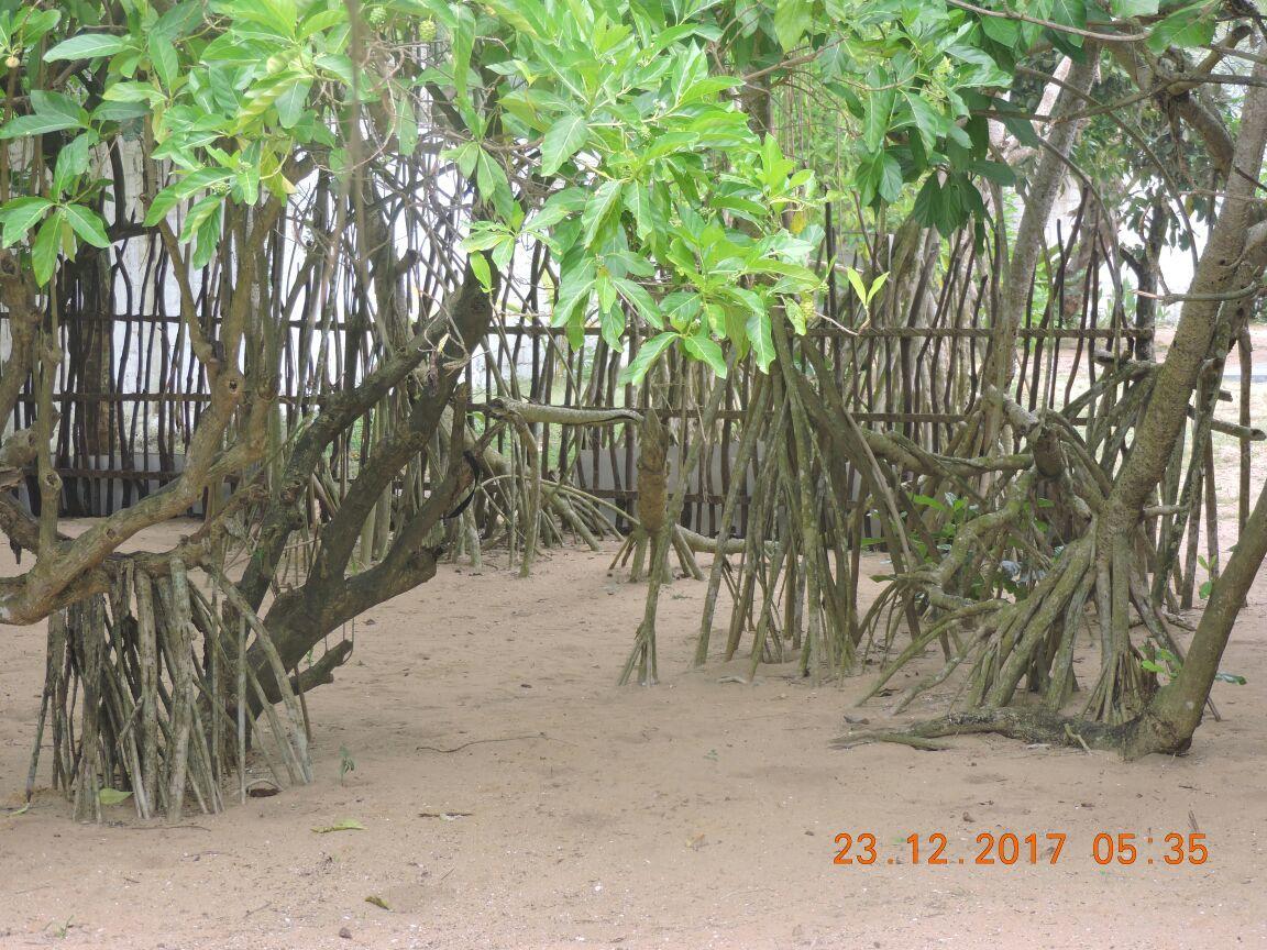 Akain Villa Dodanduwa المظهر الخارجي الصورة